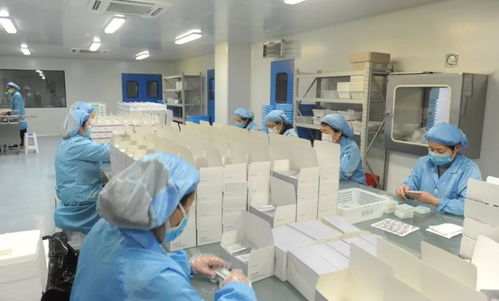 城阳区青年联合会 凝聚抗疫青春正能量，推动研发与技术转让