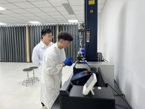 小石头激活大产业 探访国家市场监管技术创新中心（玄武岩纤维及先进复合材料）