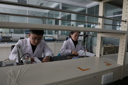 九三食品公司 每一滴都是放心油，研发与技术转让引领健康新食尚