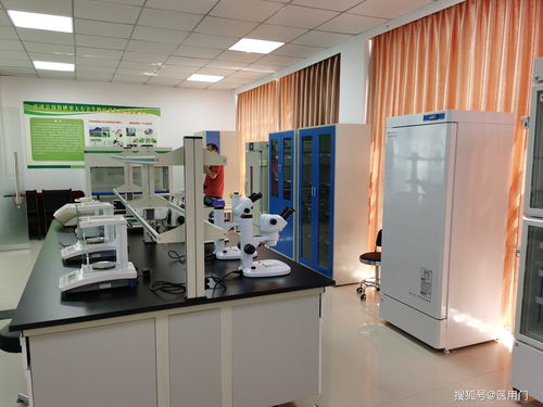 小型组培室建设与运营方案 年产50万-100万株的投资预算、平面设计及技术解析